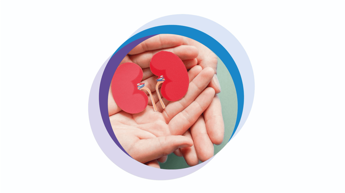 нирки, лікування цукрового діабету 2-го типу, протидія діабету