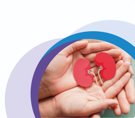 нирки, лікування цукрового діабету 2-го типу, протидія діабету